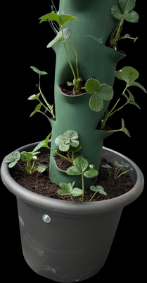 Tubo Macetero Vertical Vacio Artesanal